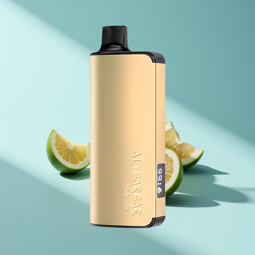 Alibarbar Ingot 9000 Kühle Minze 22ml 2350mAh