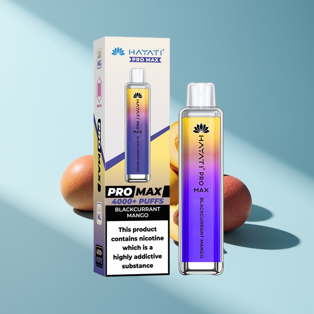 Hayati Pro Max 4000 Schwarze Johannisbeere Mango Dual Mesh Rechargebar