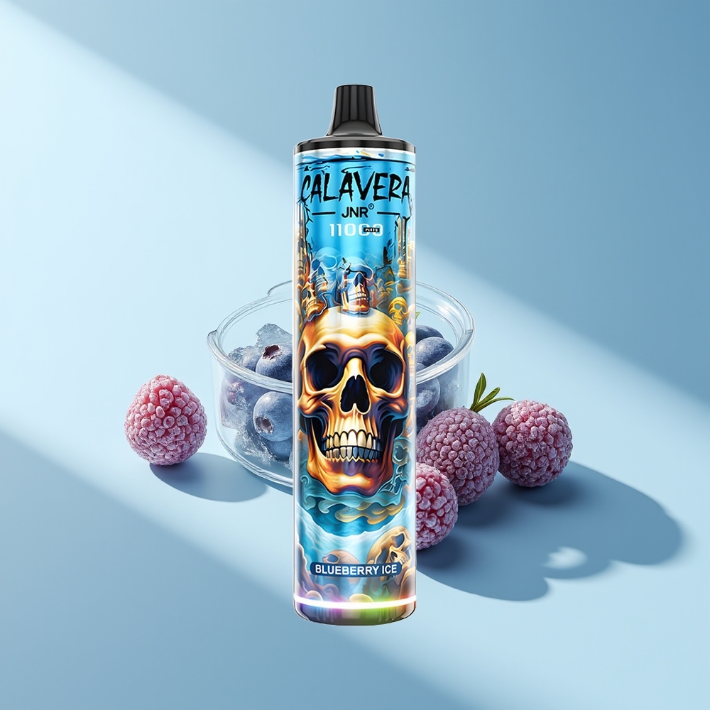JNR Calavera 11000 Blaubeereis Typ-C 850mAh