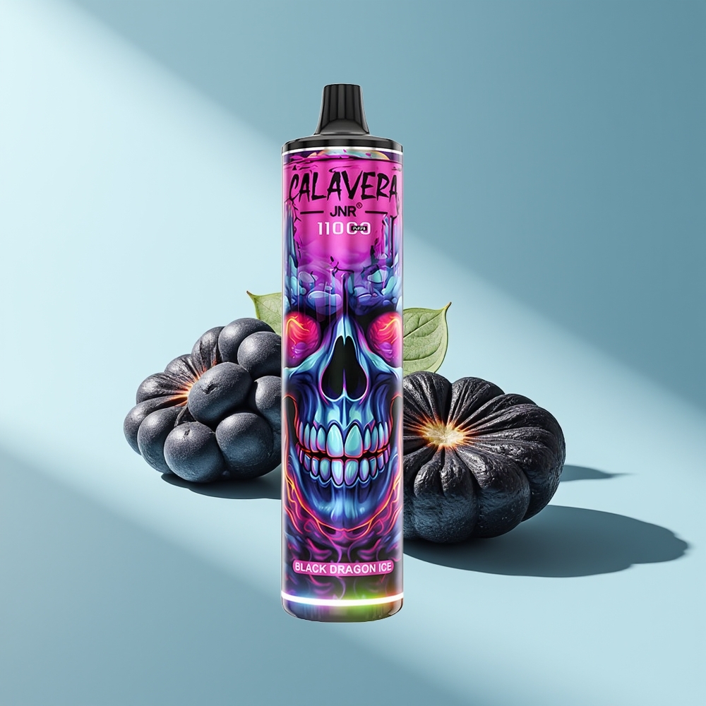 JNR Calavera 11000 Schwarzer Drache Eis Typ-C 850mAh