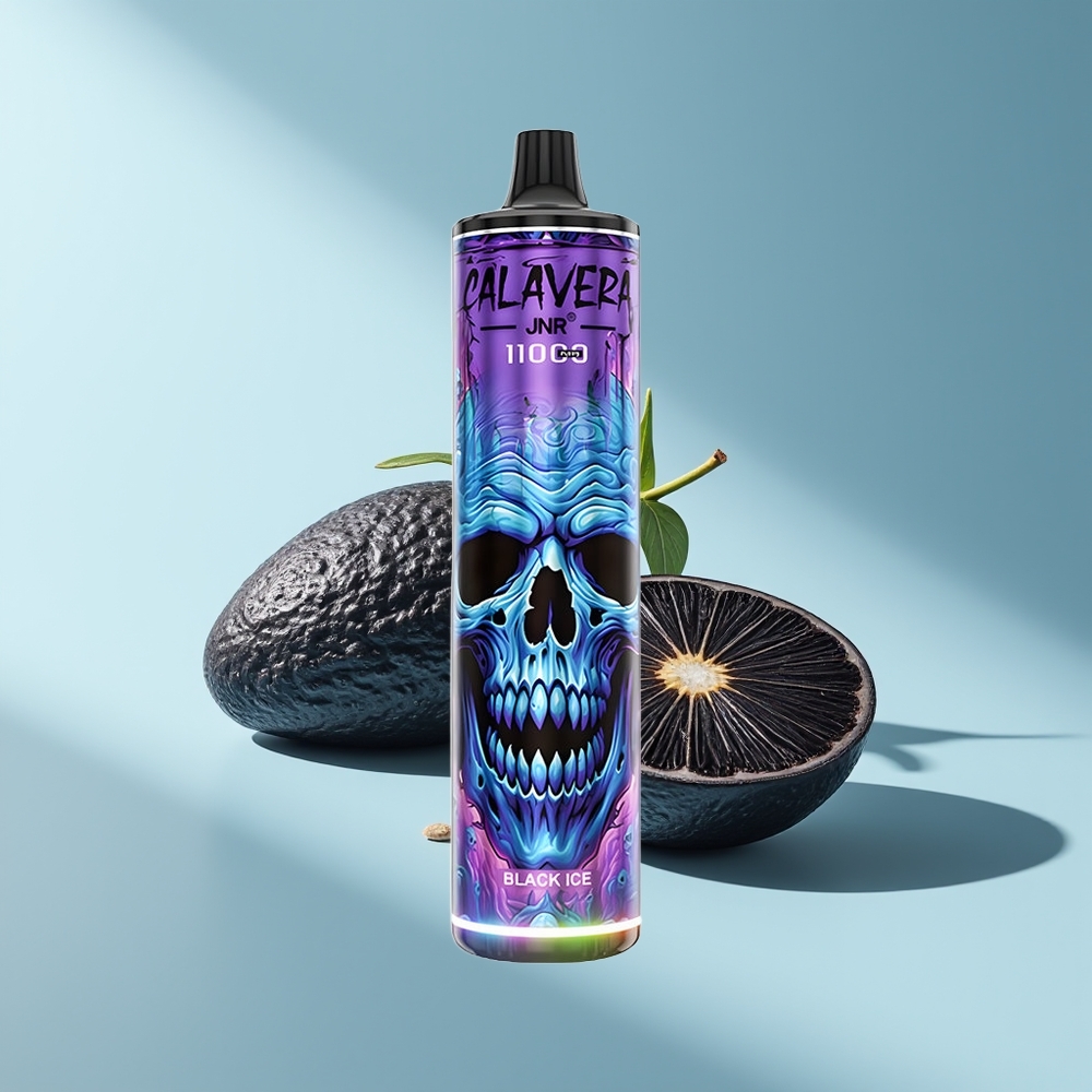 JNR Calavera 11000 Schwarzes Eis Typ-C 850mAh