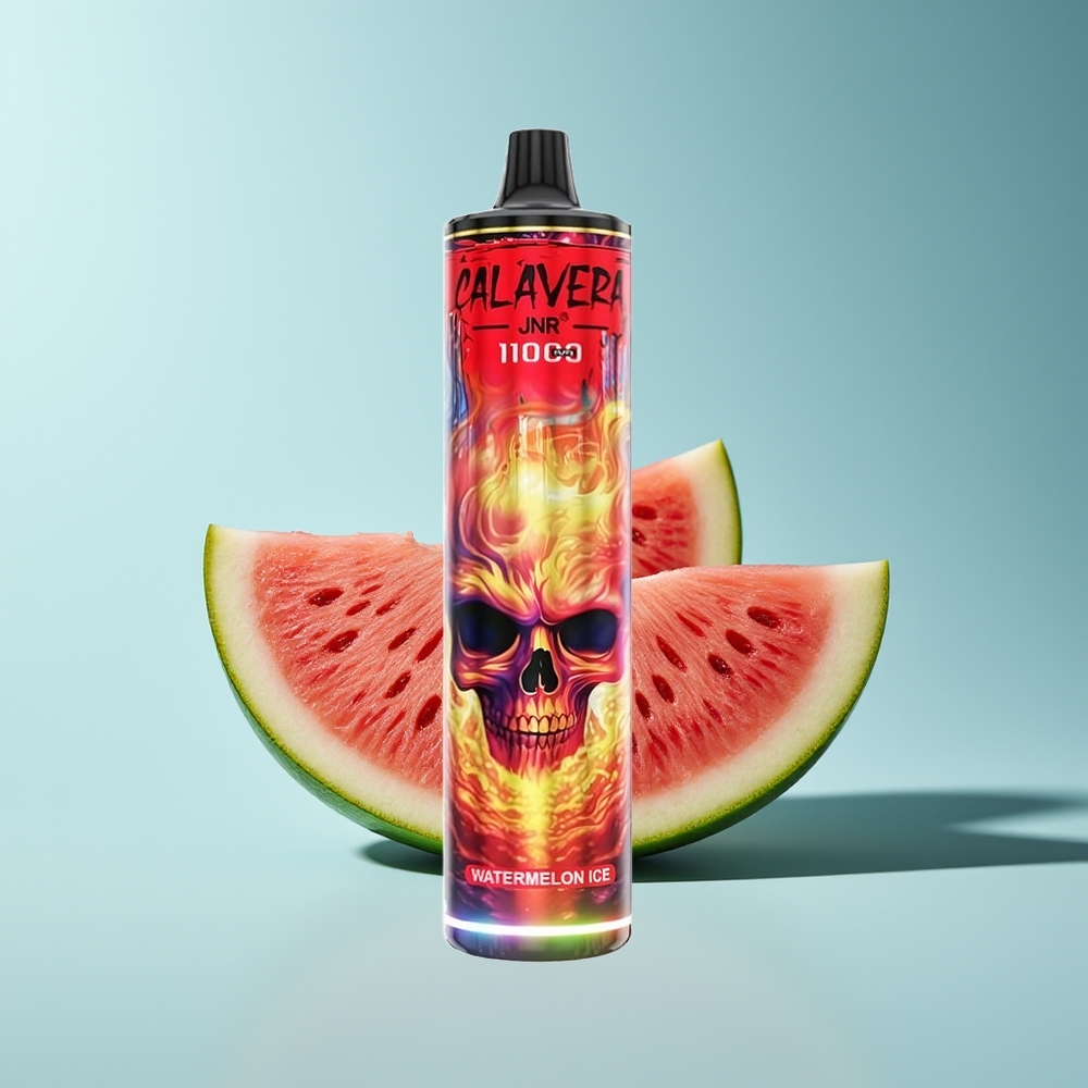 JNR Calavera 11000 Wassermelone Eis Typ-C 850mAh