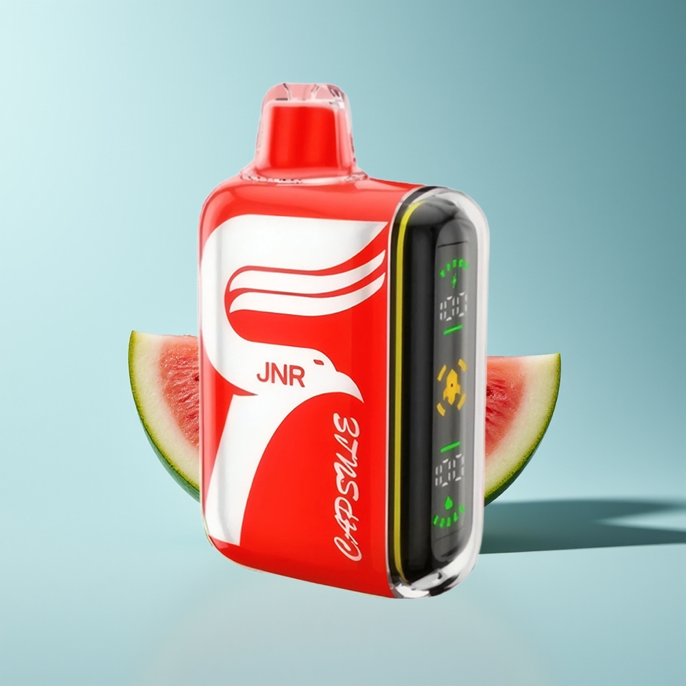 JNR Capsule 15000 Wassermelone Eis Dual Mesh 20W