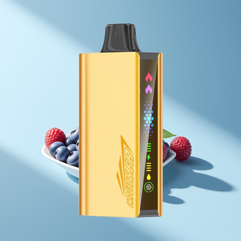 JNR Cruiser 12000 Blaubeer-Explosion 3500mAh Dual-Mesh