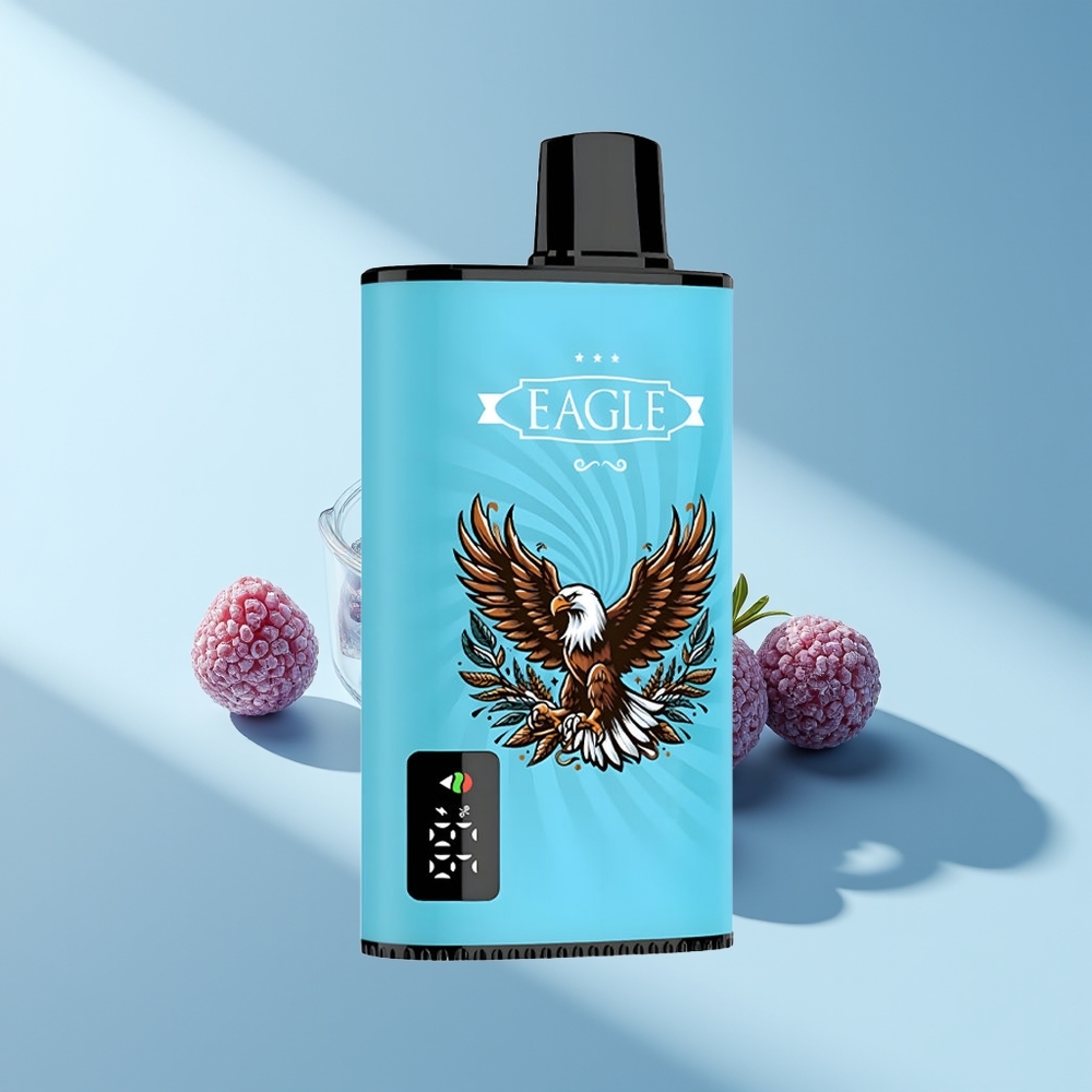 JNR EAGLE Smart 23000 Blaubeer-Eis Digital 750mAh