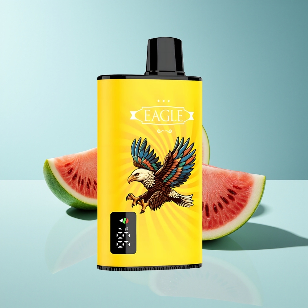 JNR EAGLE Smart 23000 Kiwi Wassermelone Eis Digitales Display Typ-C-Ladung