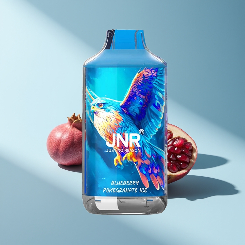 JNR Falcon 16000 Blaubeere Granatapfel Eis 850mAh Dual Mesh Coil