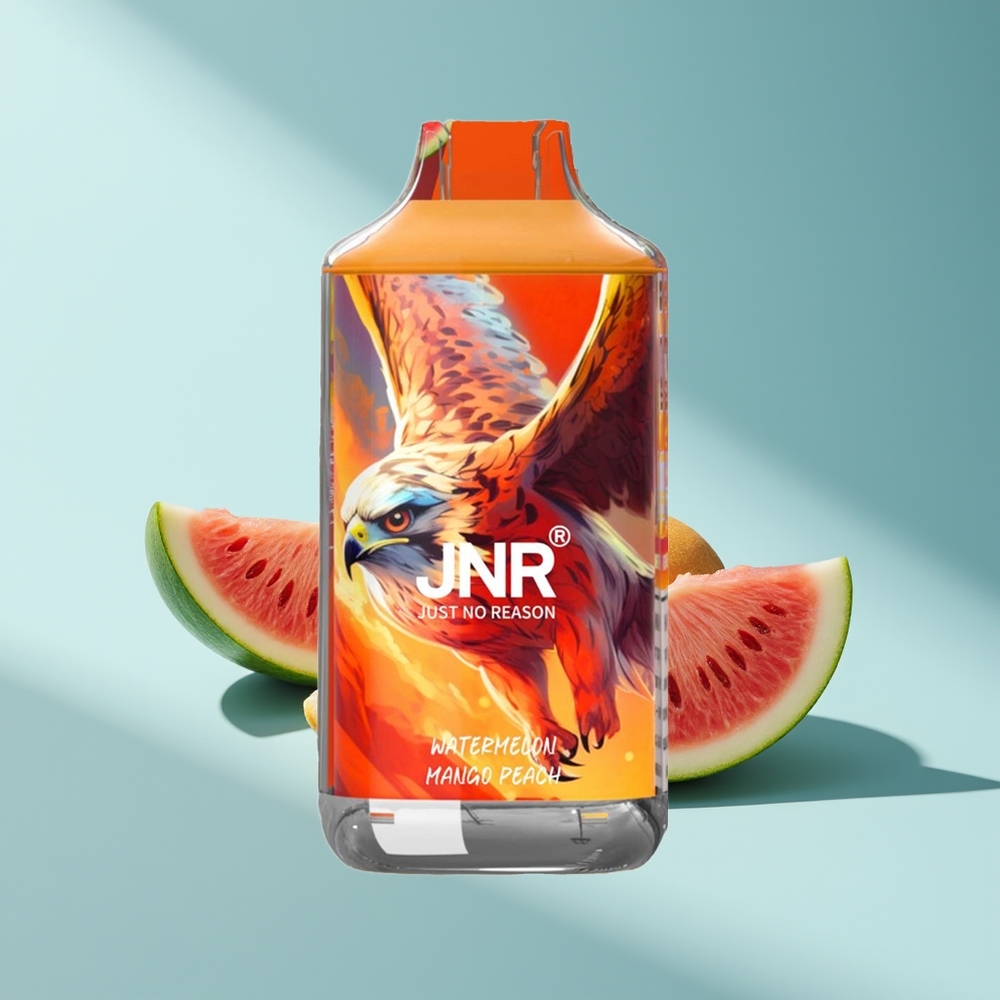 JNR Falcon 16000 Wassermelone Mango Pfirsich Dual Mesh Typ C 850 mAh 22ml Smart LED 0% 2%