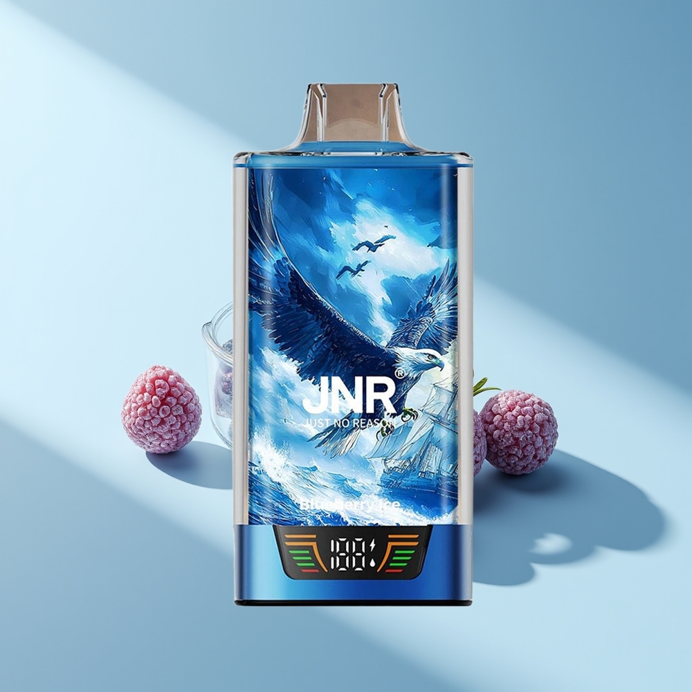 JNR Falcon Pro 28000 Blaubeereis 30ml 950mAh
