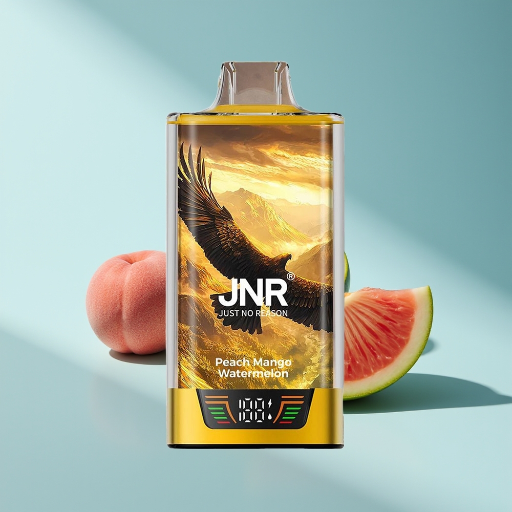 JNR Falcon Pro 28000 Pfirsich-Mango-Wassermelone Dual Mesh USB-C