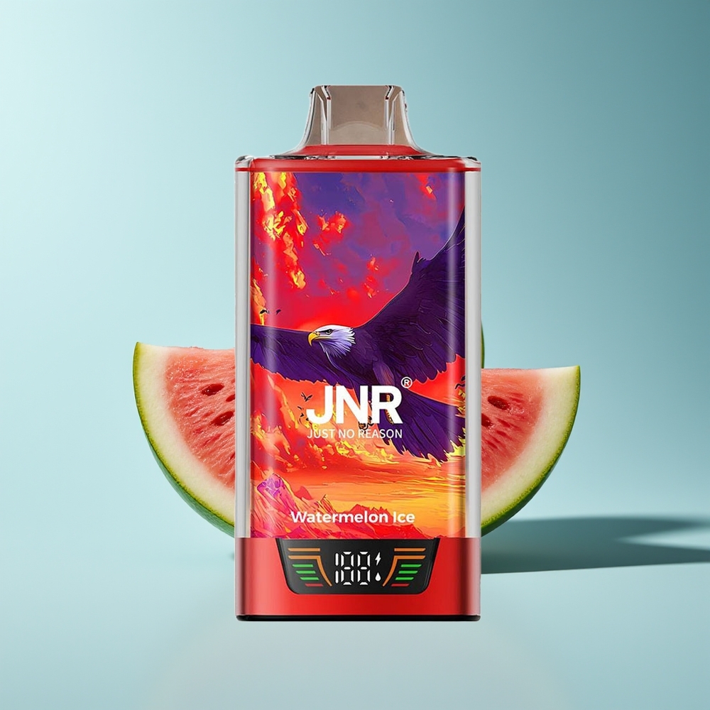 JNR Falcon Pro 28000 Wassermelone Eis Dual Mesh 950mAh
