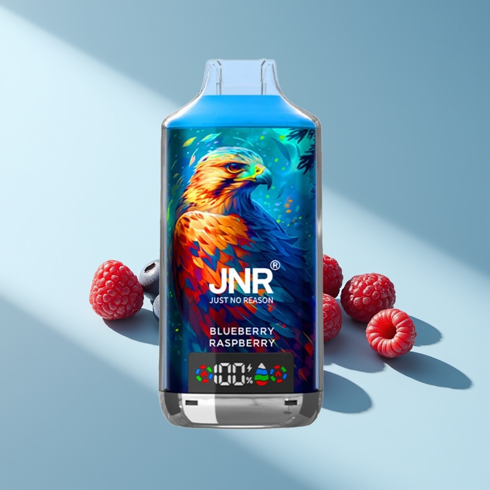 JNR Falcon X 18000 Blaubeere Himbeere Dual Mesh Typ-C 750mAh