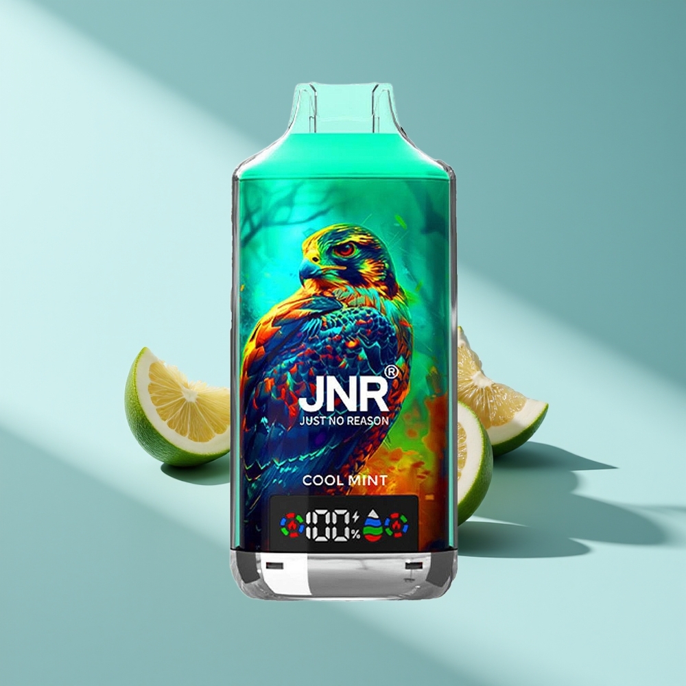 JNR Falcon X 18000 Kühle Minze Dual Mesh & 750mAh