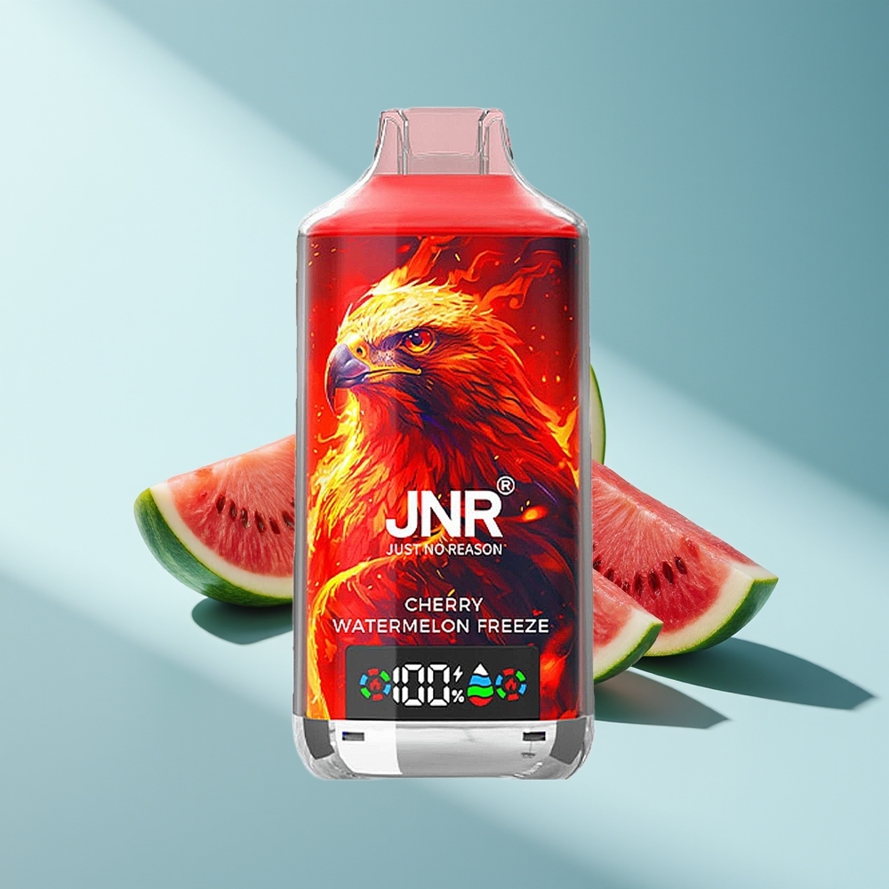 JNR Falcon X 18000 Kirsch-Wassermelone-Eis mit Dual Mesh Coil und Typ-C Schnellladung