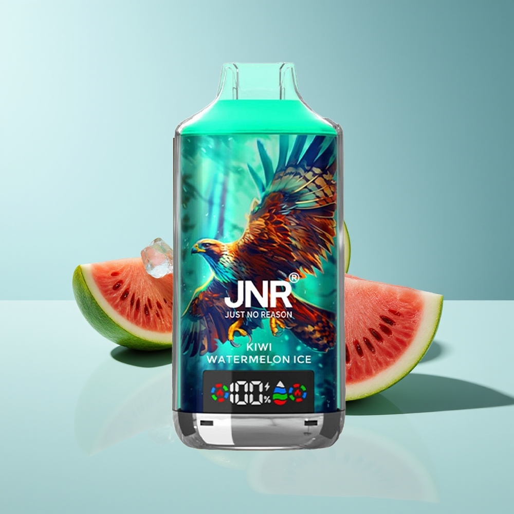 JNR Falcon X 18000 Kiwi-Wassermelone-Eis Dual-Mesh Typ-C 24ml