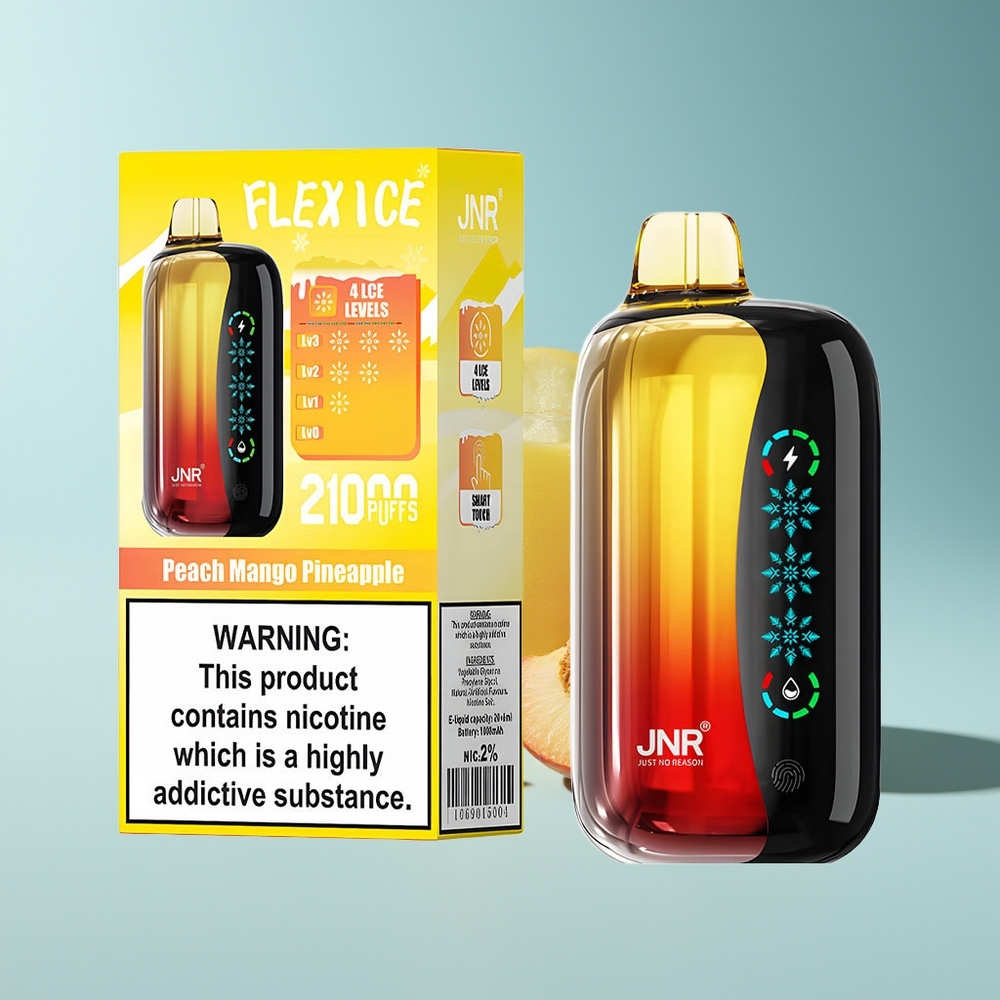 JNR Flex Ice 21000 Pfirsich-Mango-Ananas Dual Mesh Typ-C Ladegerät