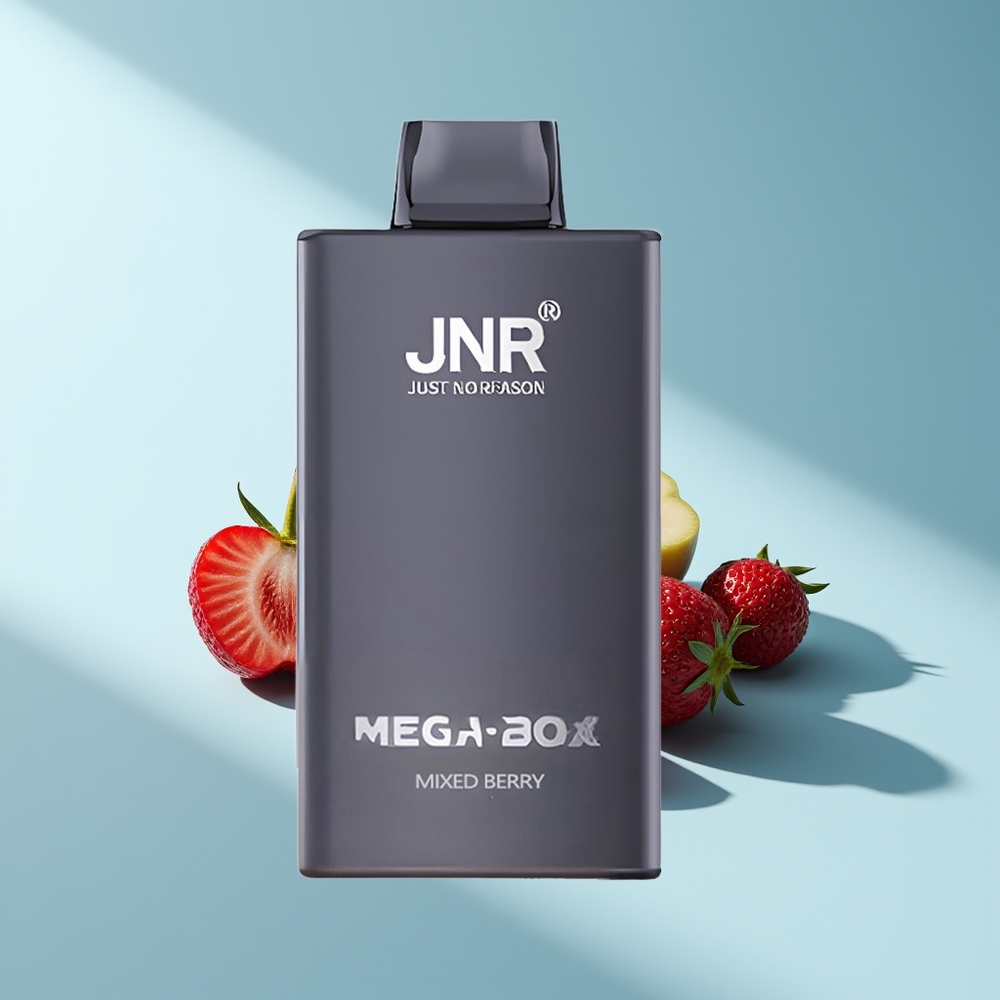 JNR Mega Box 25000 Beerenmix Dual Mesh & Typ-C Schnellladung