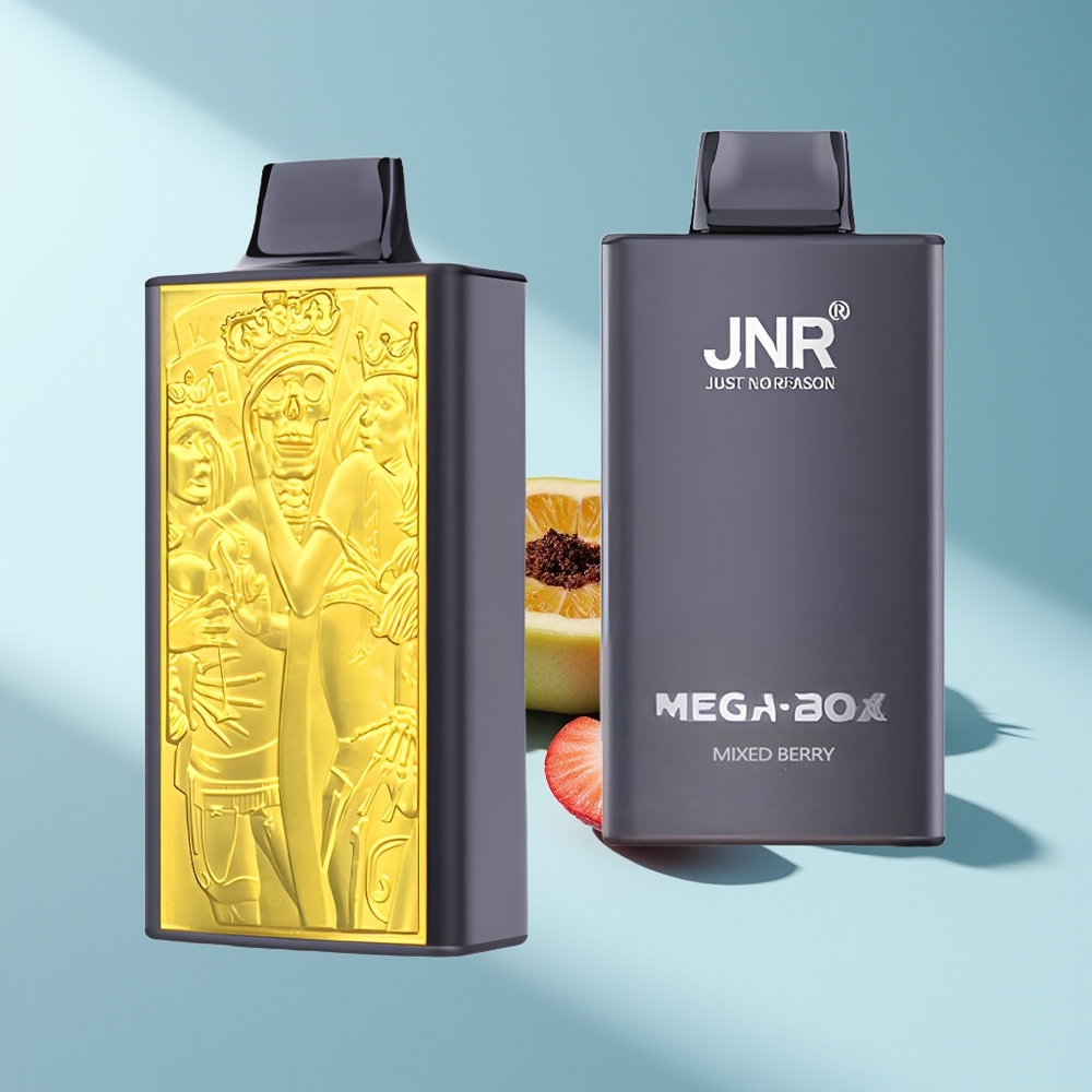 JNR Mega Box 25000 Beerenmix Dual Mesh & Typ-C Schnellladung