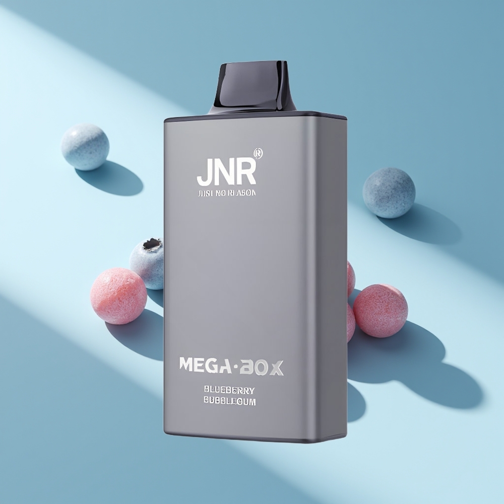 JNR Mega Box 25000 Blaubeere Kaugummi Dual Mesh & Typ-C