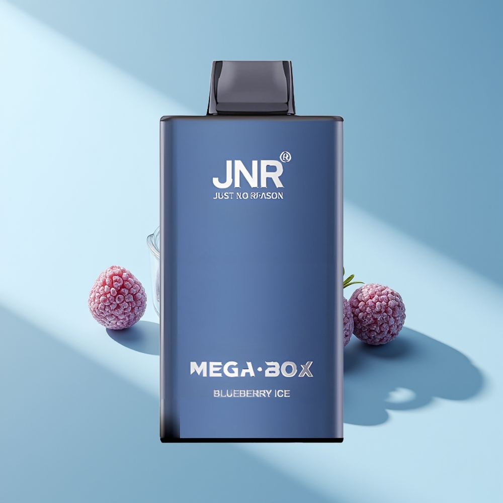 JNR Mega Box 25000 Blaubeereis 30ml Dual Mesh