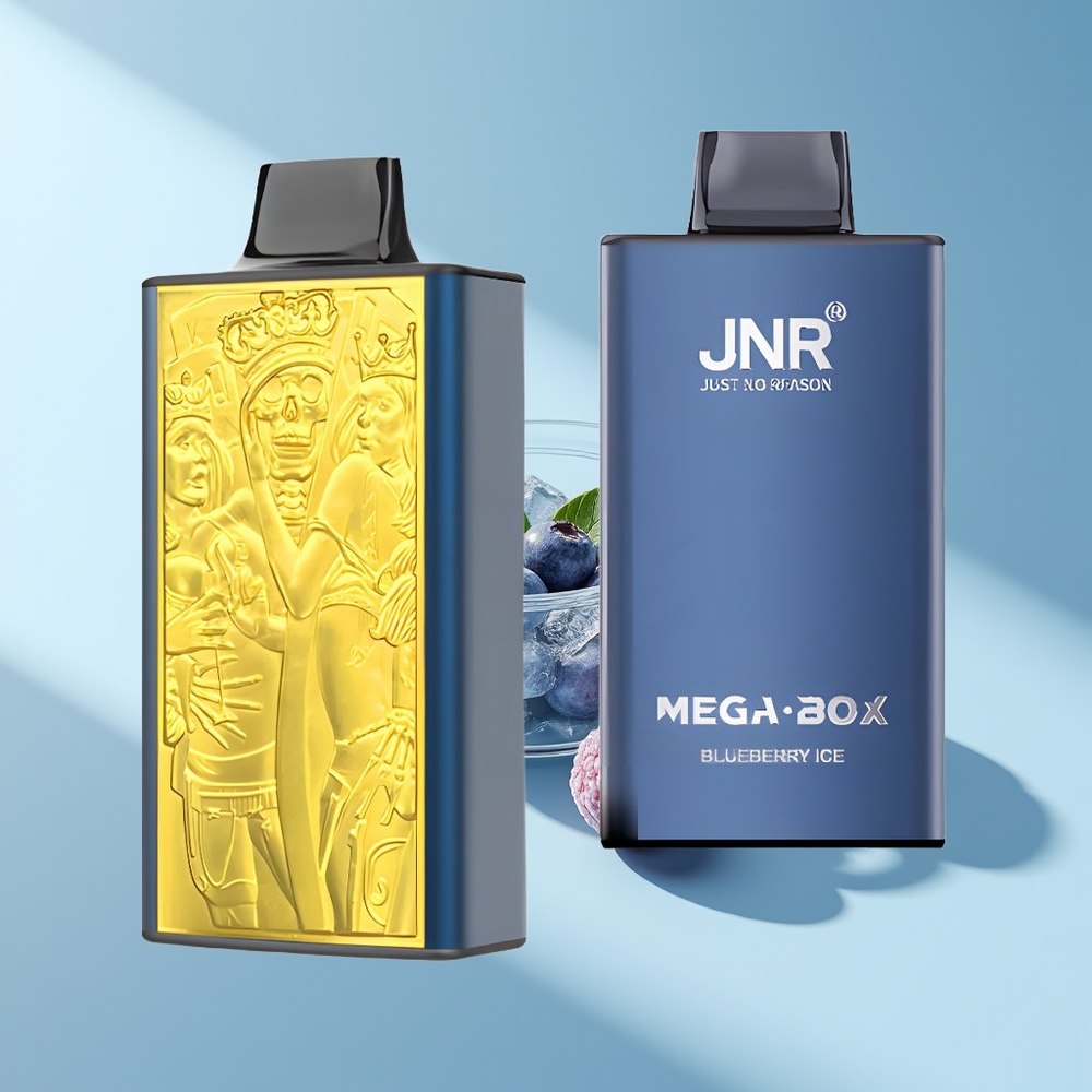 JNR Mega Box 25000 Blaubeereis 30ml Dual Mesh