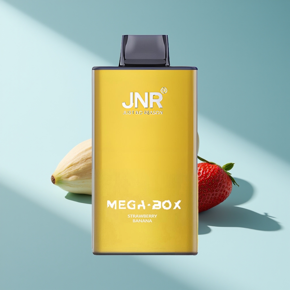 JNR Mega Box 25000 Erdbeer-Banane Dual Netz & Typ-C Schnellladung
