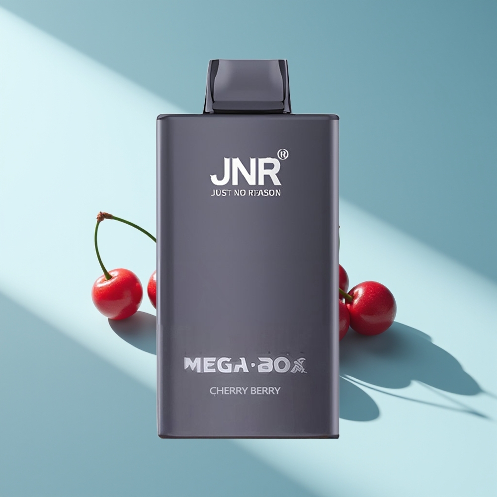 JNR Mega Box 25000 Kirschbeere Dual Mesh Typ-C