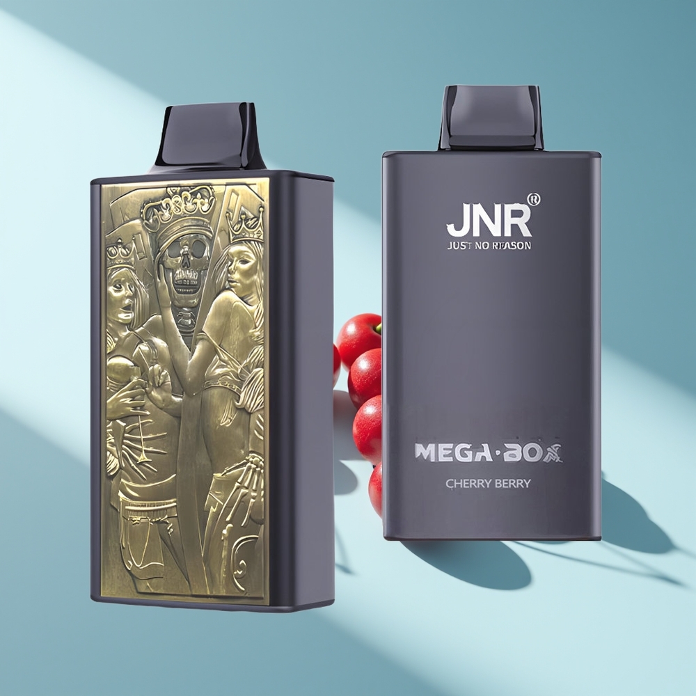 JNR Mega Box 25000 Kirschbeere Dual Mesh Typ-C