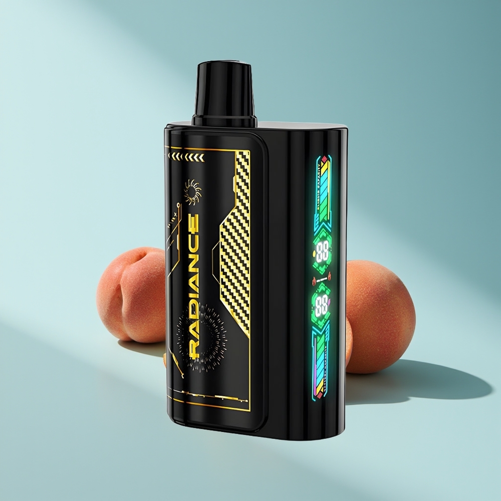 JNR Radiance 31000 Pfirsich Mango Ananas Dual Mesh Typ-C