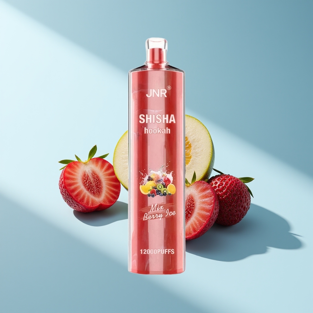 JNR Shisha Hookah 12000 Beeren-Eis 750mAh Typ-C