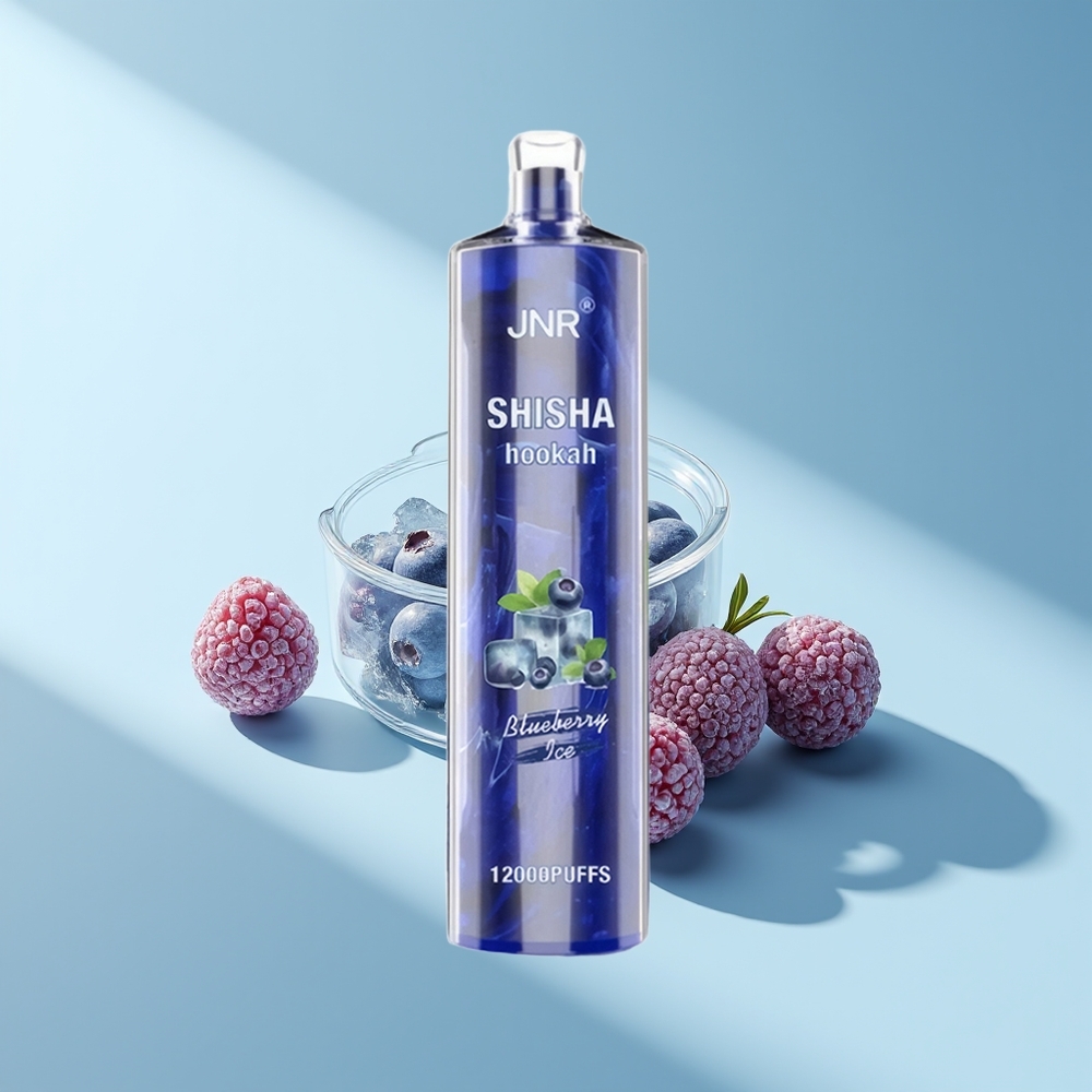JNR Shisha Hookah 12000 Blaubeereis 750mAh Typ-C
