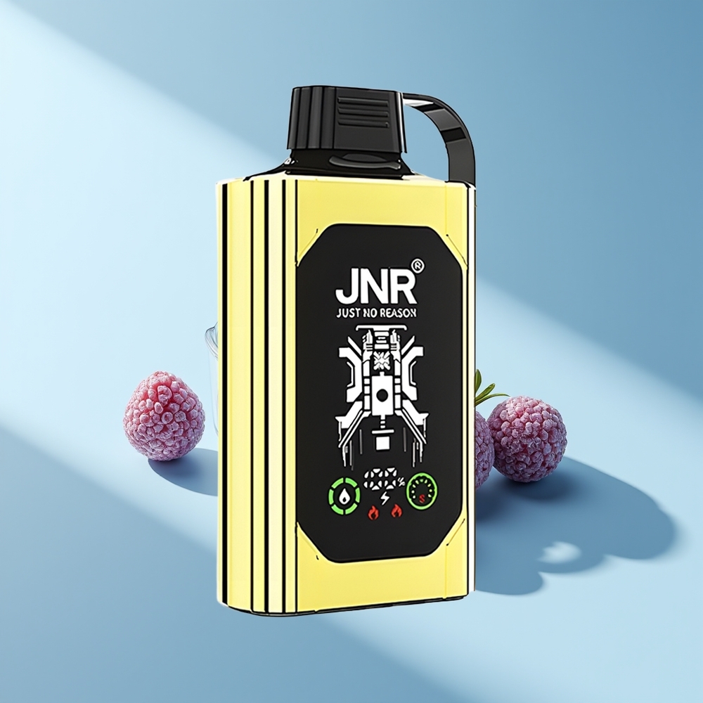JNR Shisha Hookah Box 20500 Blaubeer-Eis HD Dual Mesh 25ml